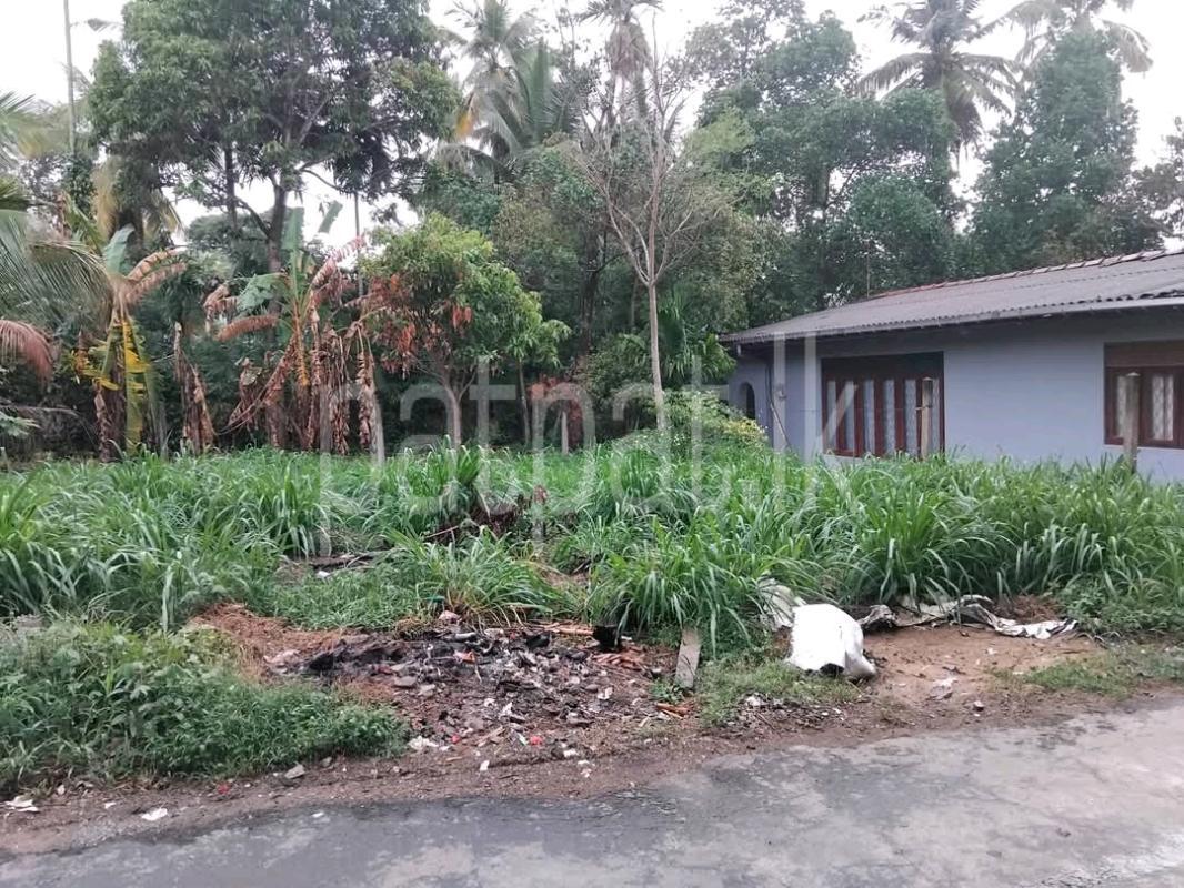 Residential Land for Sale in Kottawa