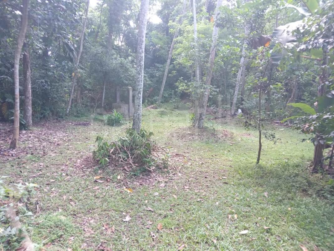 Residential Land for Sale in Kottawa ads-image-1