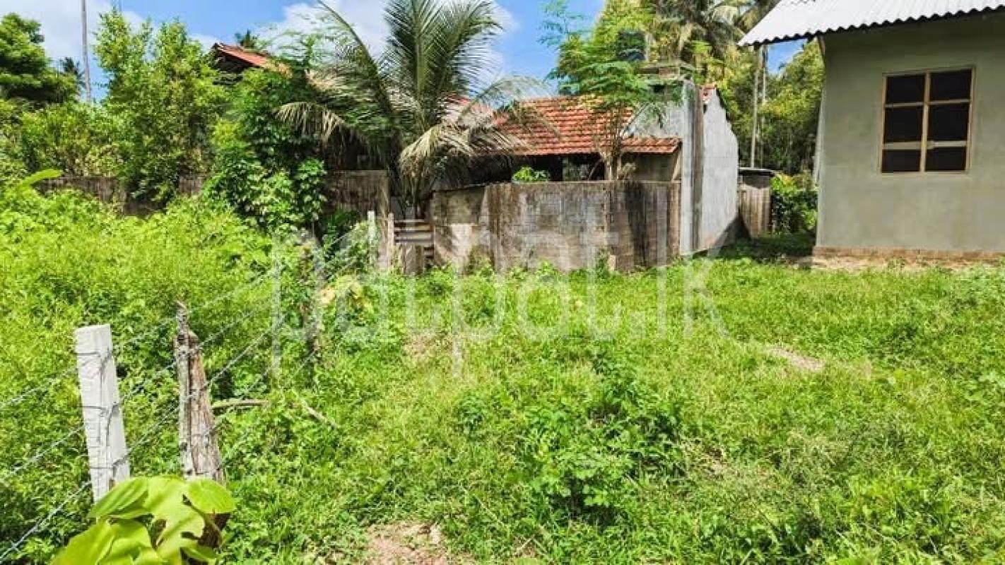 Advertisement image 6