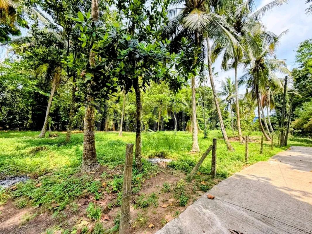 Residential Land for Sale in Malabe ads-image-1