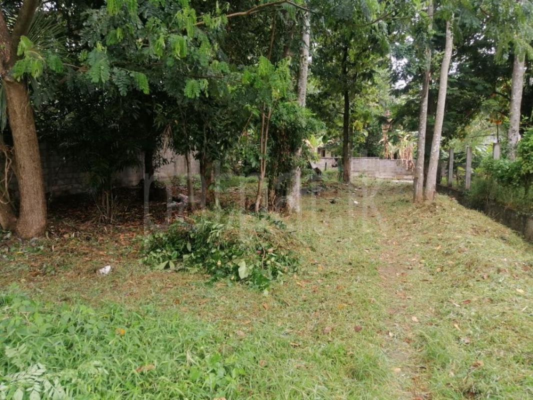 Residential Land for Sale in Kurunegala ads-image-1
