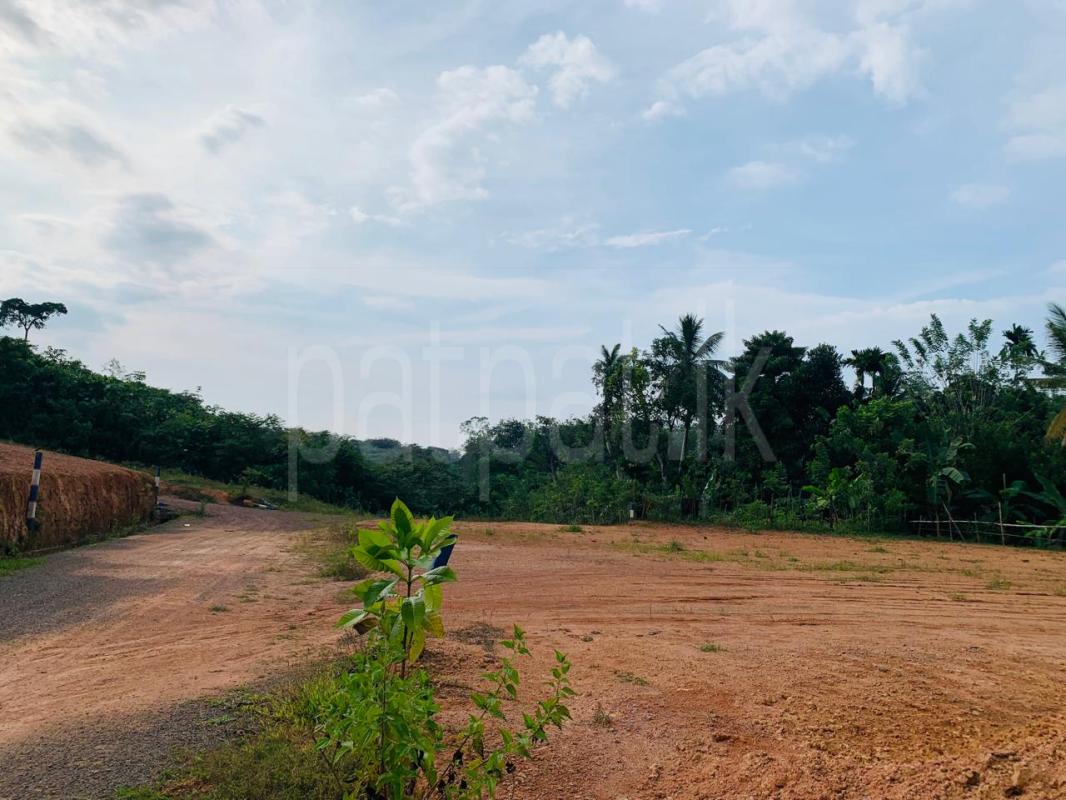Residential Land for Sale in Maggona