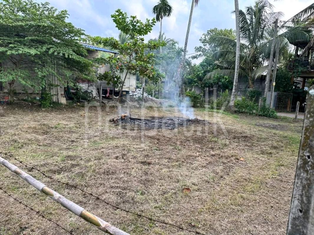Residential Land for Sale in Pamunuwatta