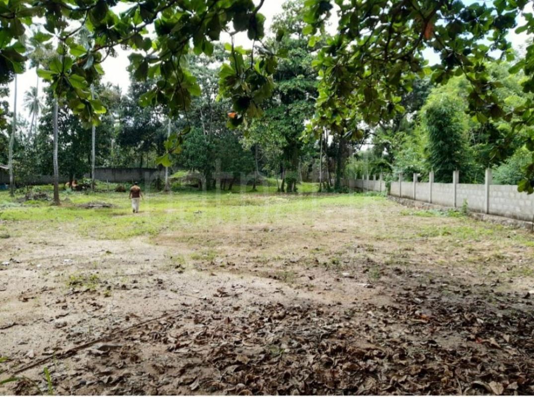 Residential Land for Sale in Ragama ads-image-1