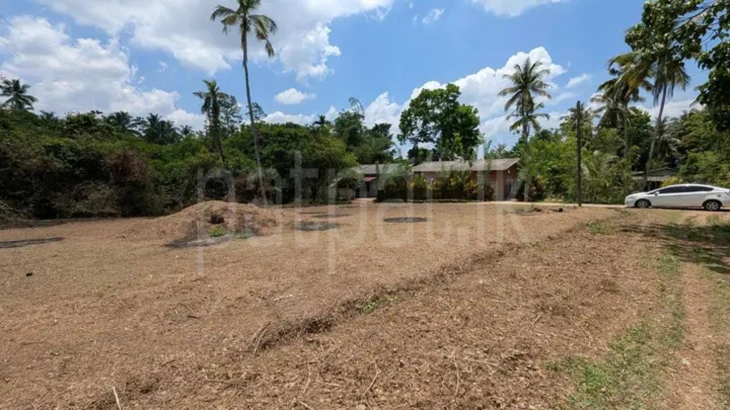 Commercial Land for Sale in Minuwangoda
