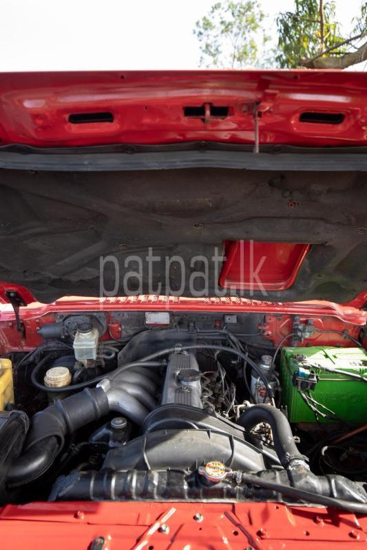 Advertisement image 6