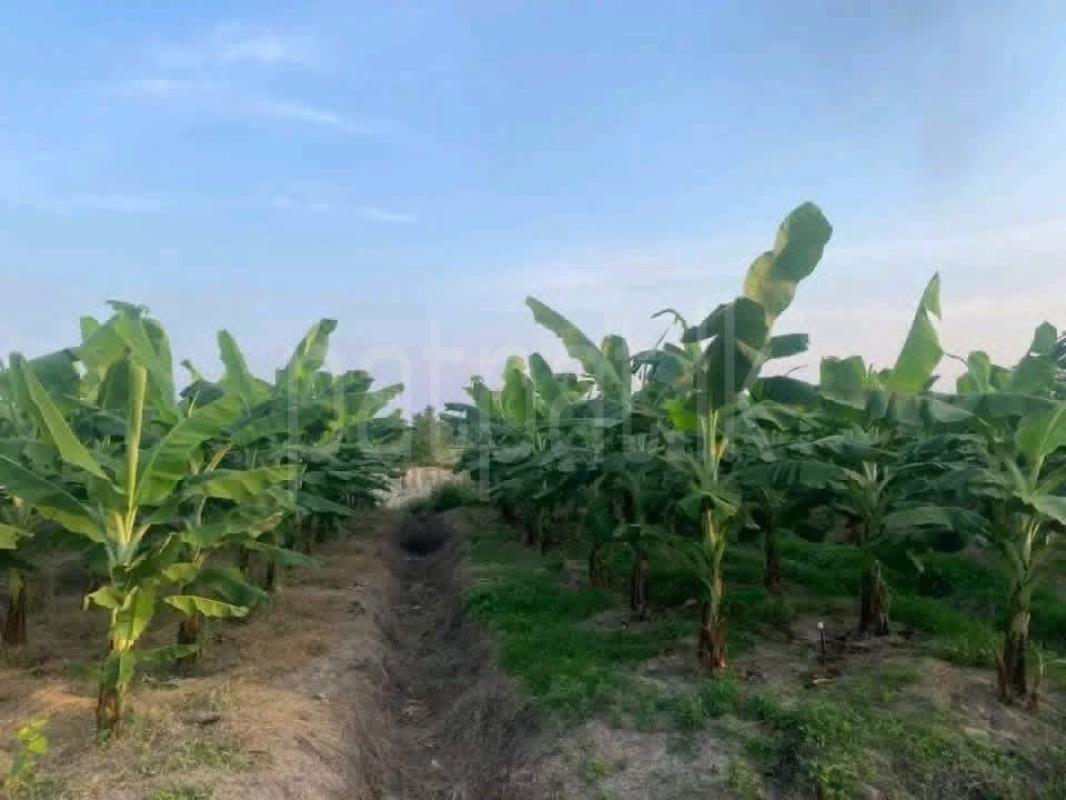 Agricultural Land for Sale in Udamattala