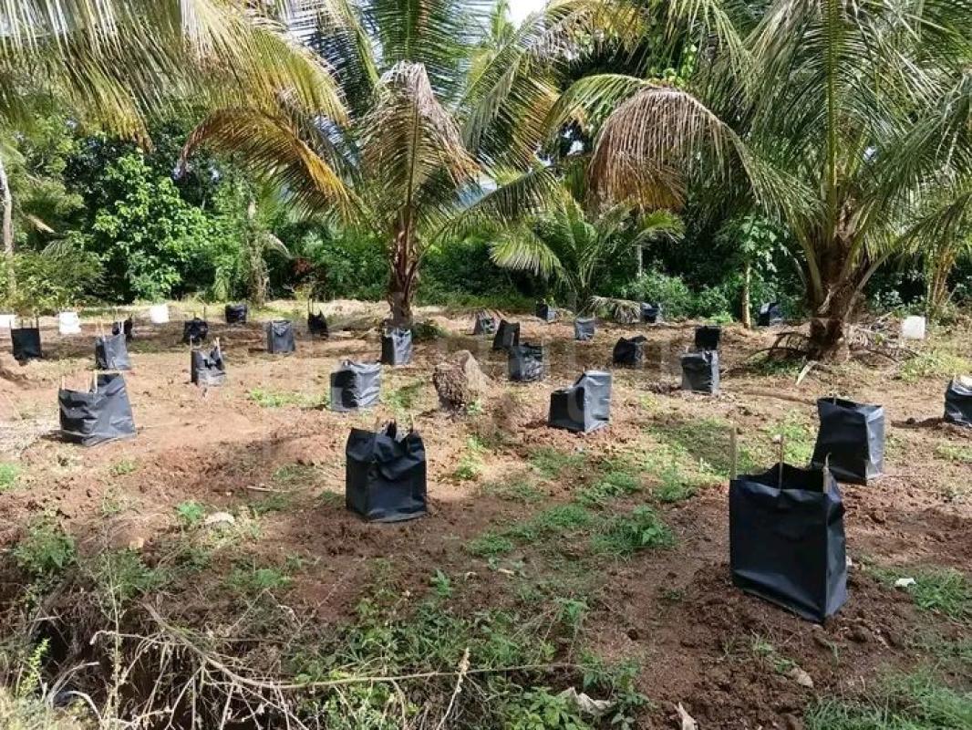 Agricultural Land for Sale in Kurunegala