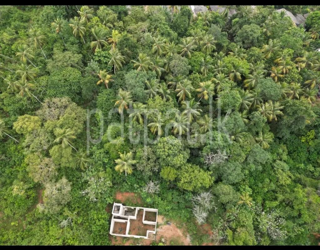 Commercial Land for Sale in Dikwella