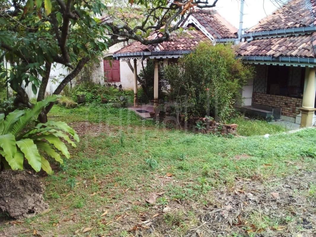 Agricultural Land for Sale in Mount Lavinia