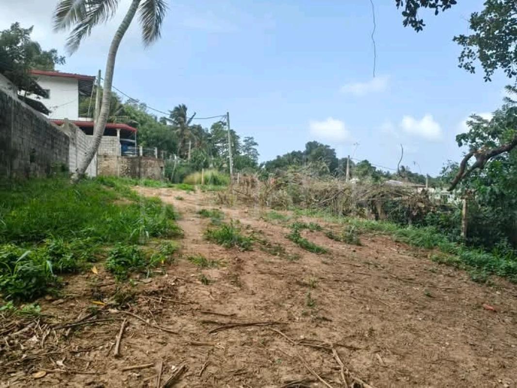 Commercial Land for Sale in Dikwella