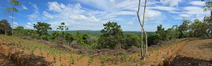 Commercial Land for Sale in Weligama