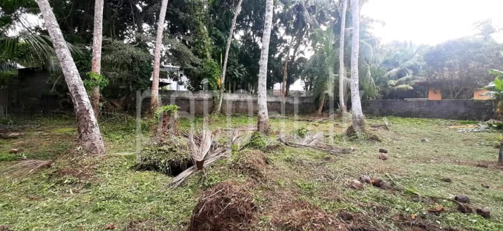 Residential Land for Sale in Pamunugama