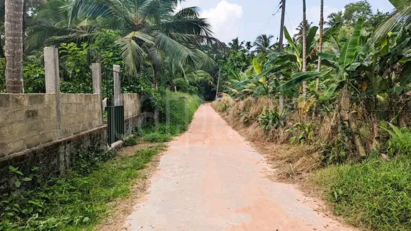 Commercial Land for Sale in Minuwangoda ads-image-1