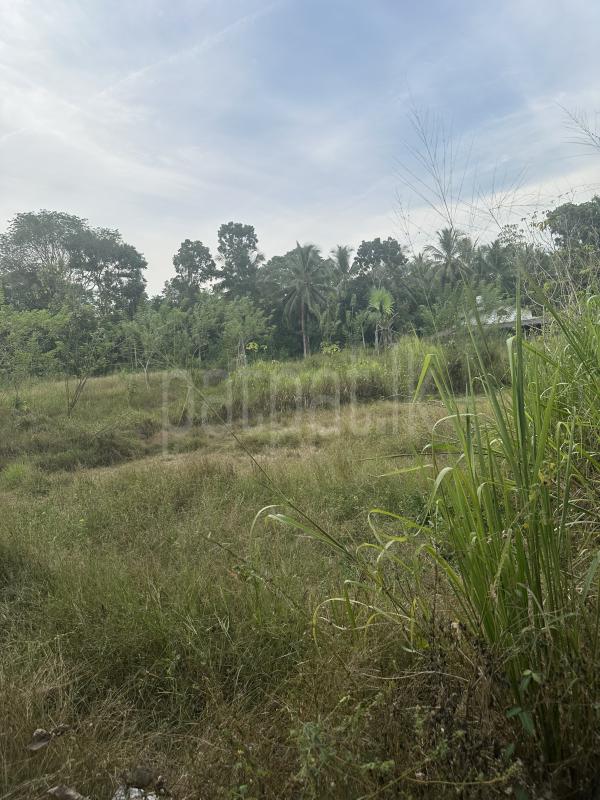 Commercial Land for Sale in Monaragala