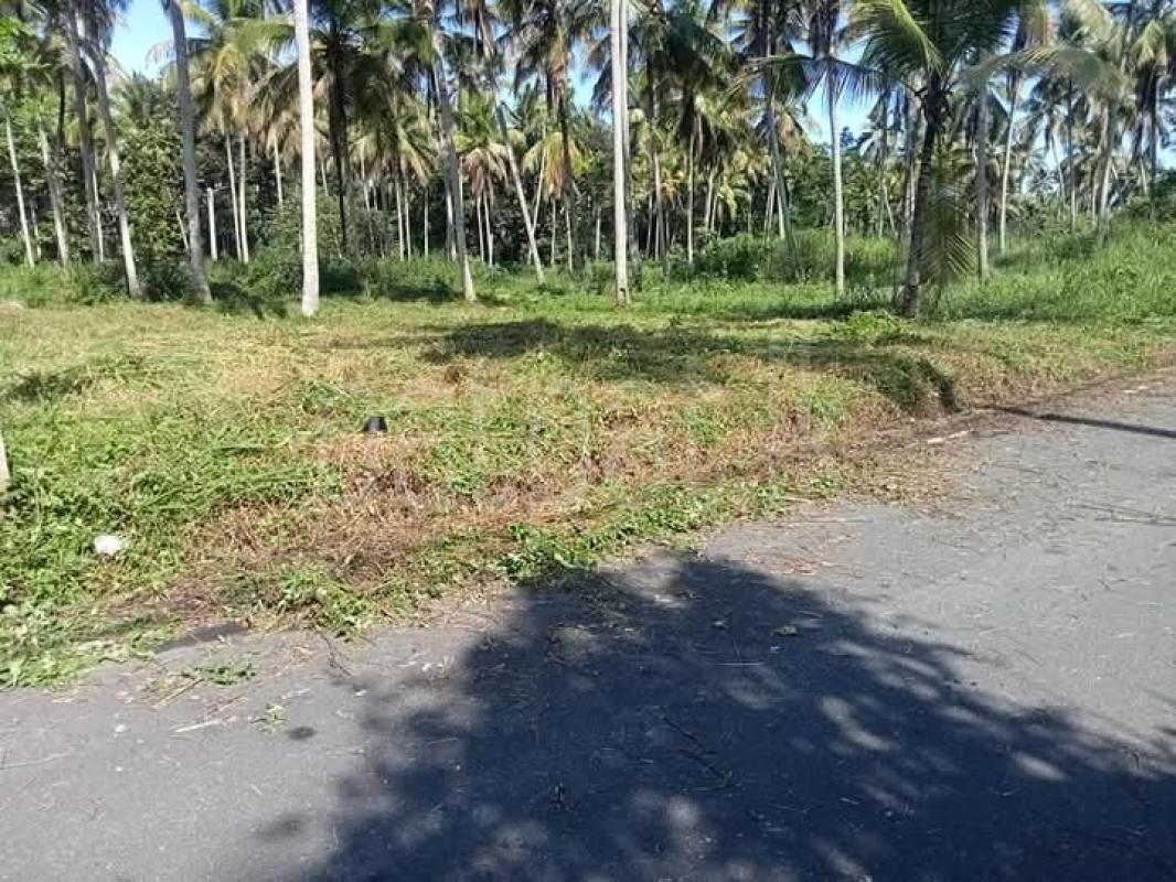 Residential Land for Sale in Kurunegala ads-image-1