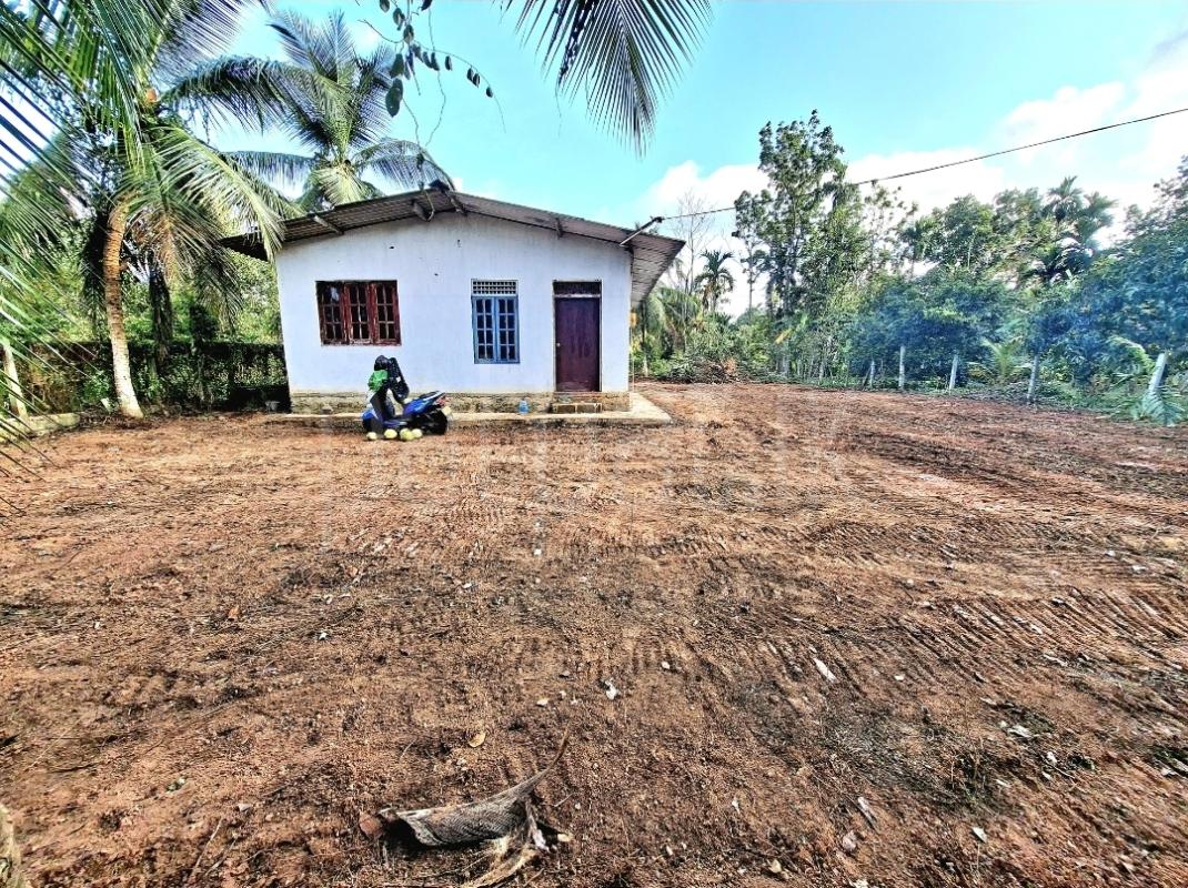Residential Land for Sale in Makewita ads-image-1