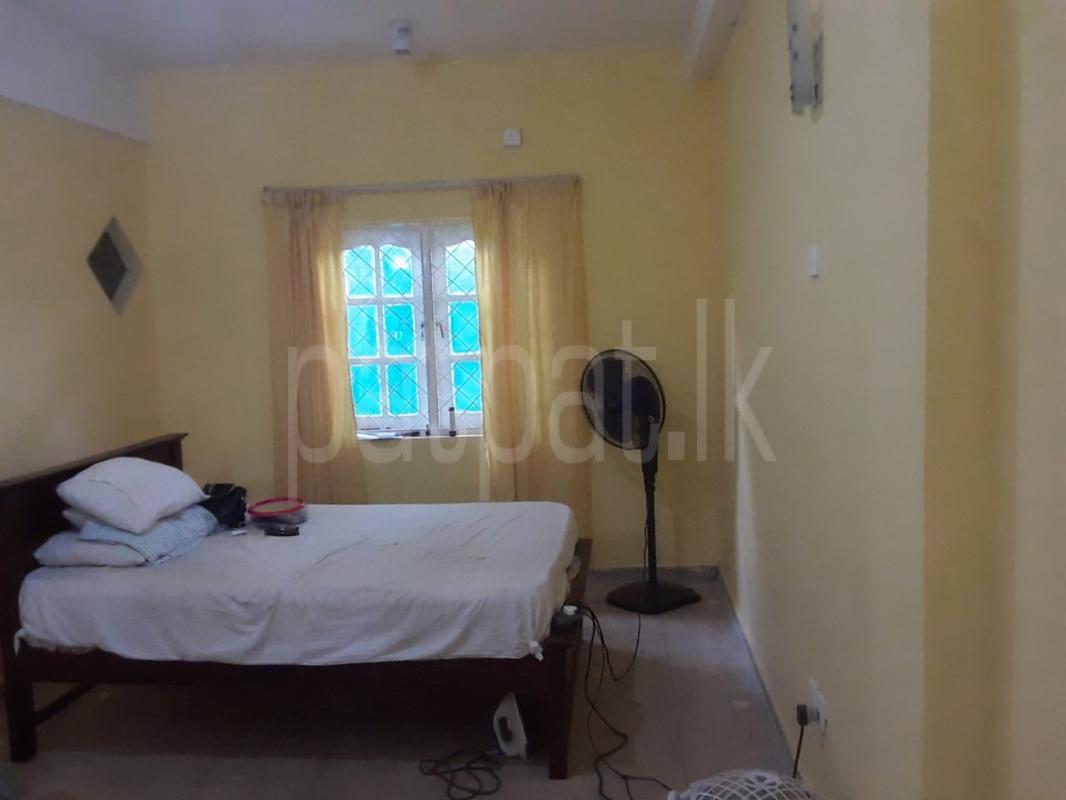 House for Rent in Narahenpita (Colombo 05) ads-image-1
