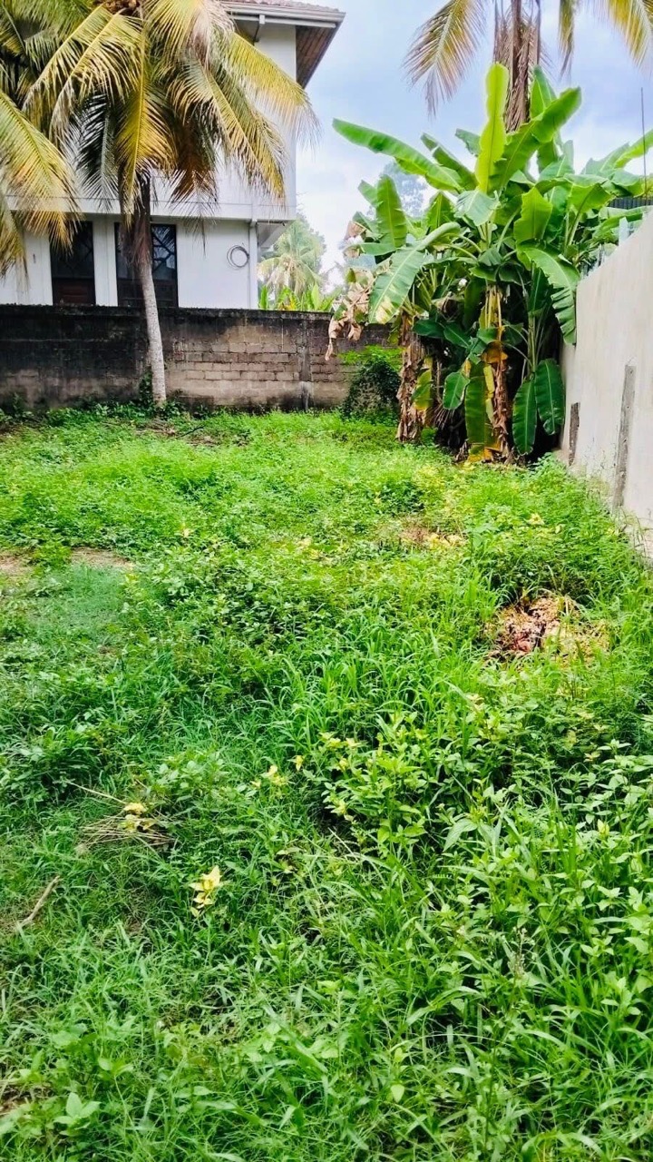 Residential Land for Sale in Galle