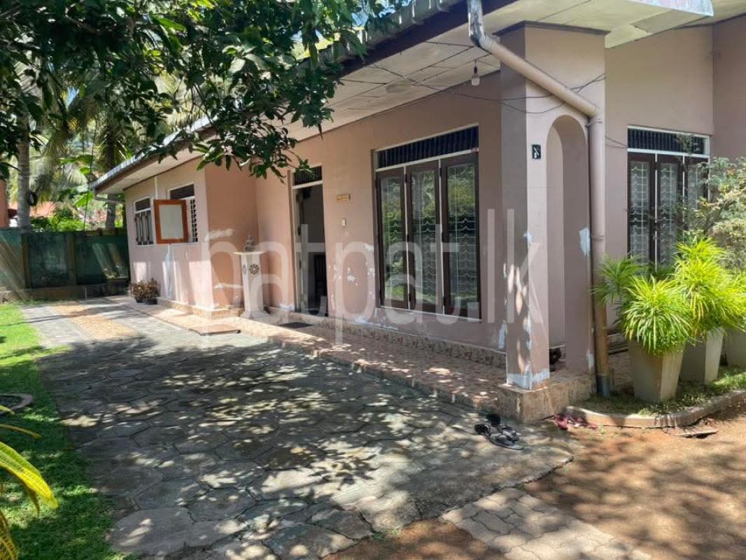 premium-listing-image