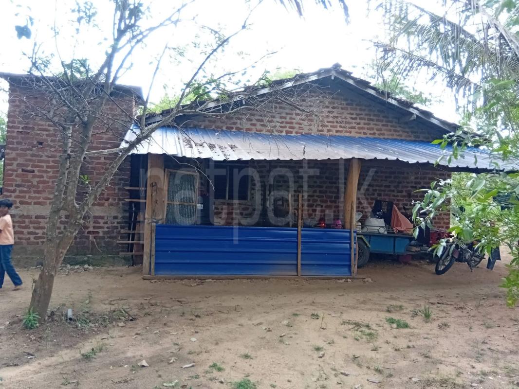 Agricultural Land for Sale in Anuradhapura ads-image-1