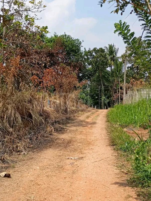 Commercial Land for Sale in Narammala