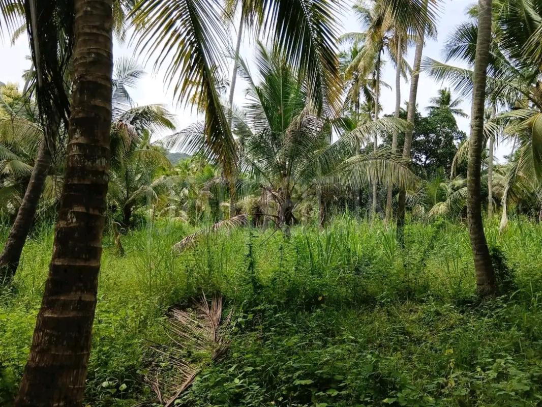 Residential Land for Sale in Wariyapola