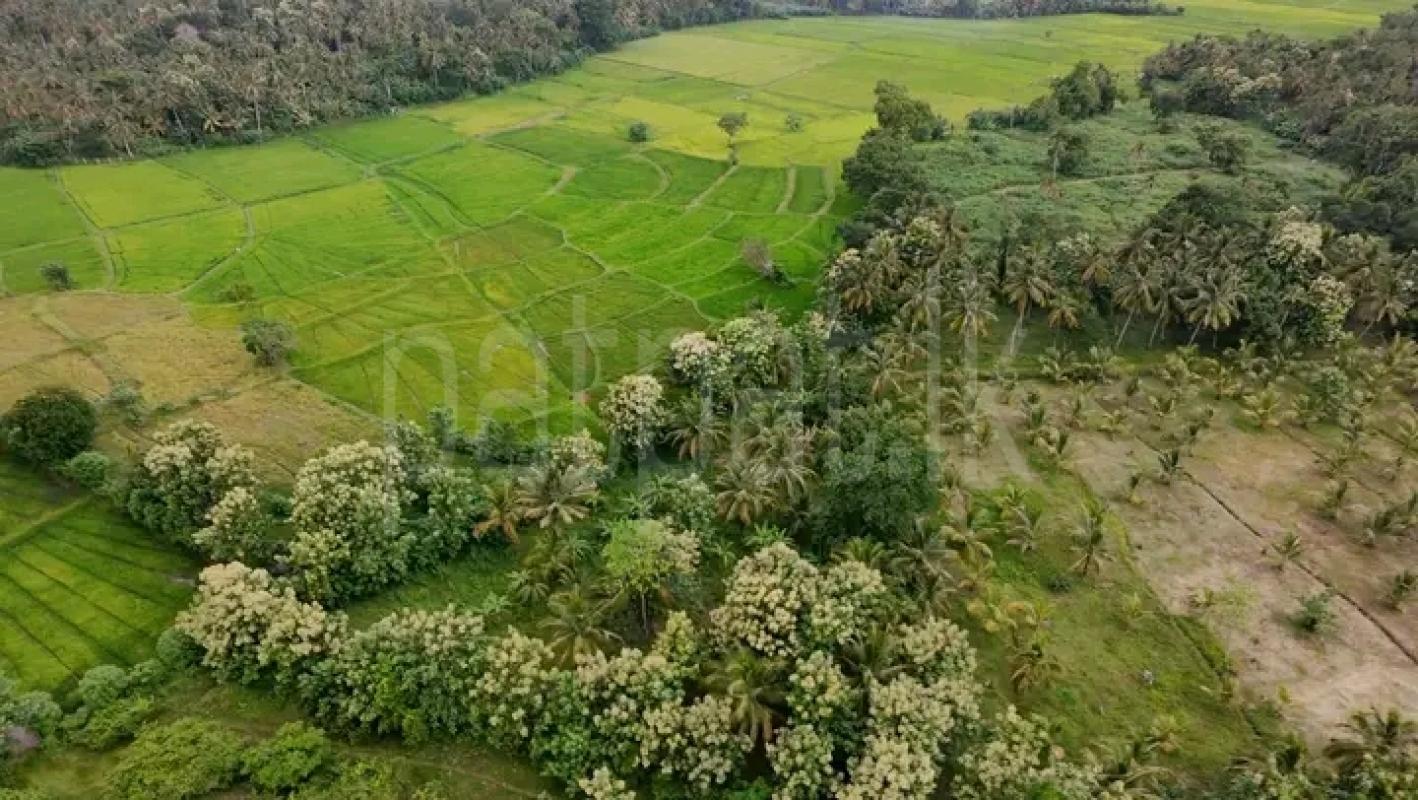 Commercial Land for Sale in Minuwangoda