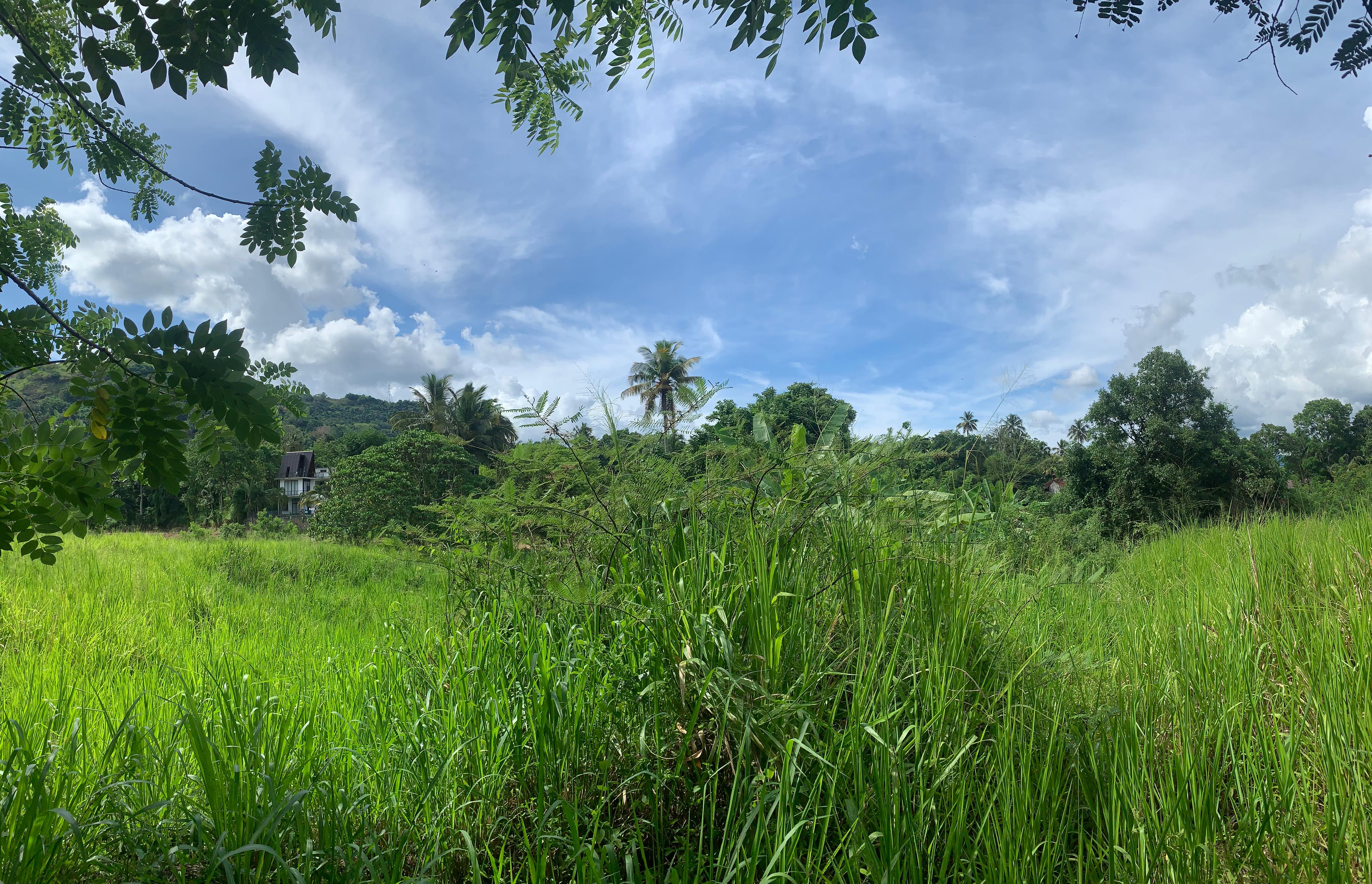 Residential Land for Sale in Matale