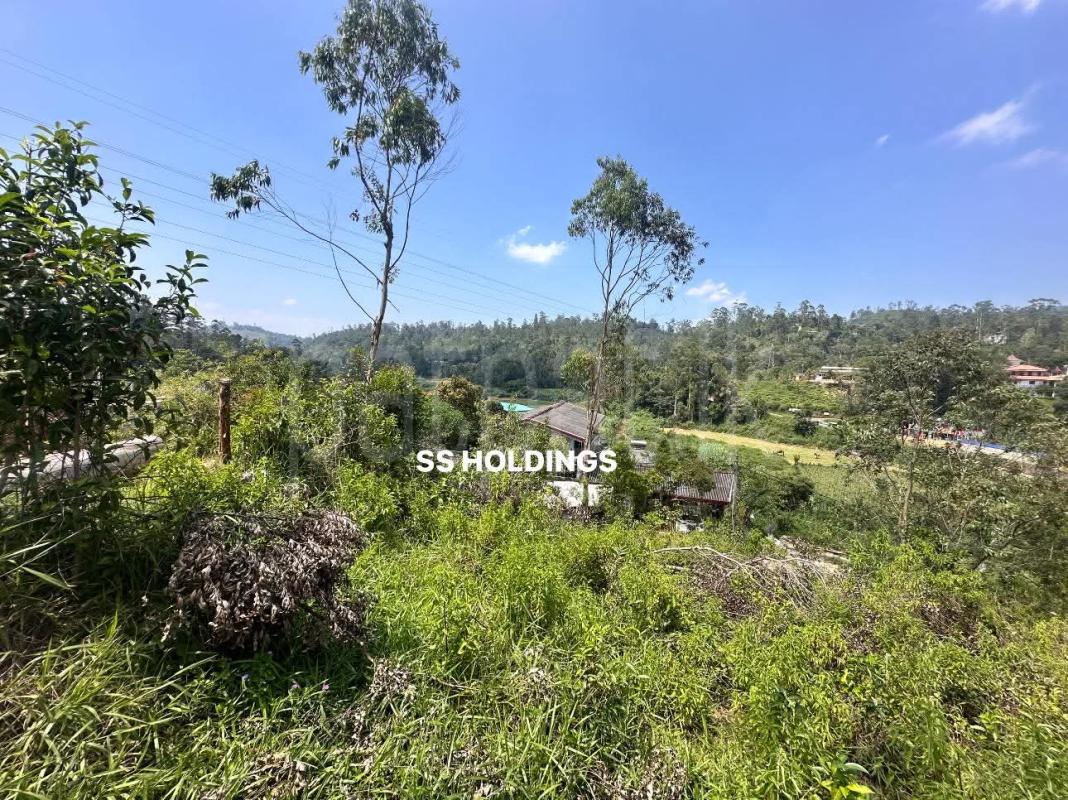 Commercial Land for Sale in Bandarawela