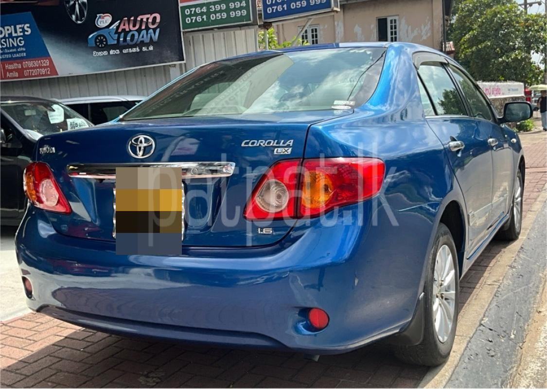 Advertisement image 3