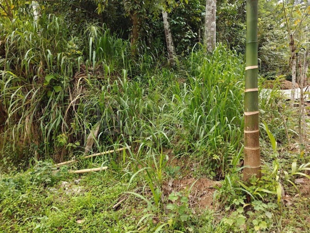 Residential Land for Sale in Gelioya