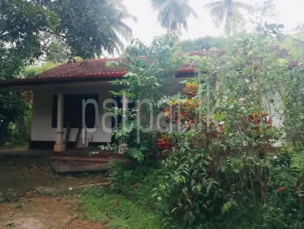 Residential Land for Sale in Veyangoda ads-image-1
