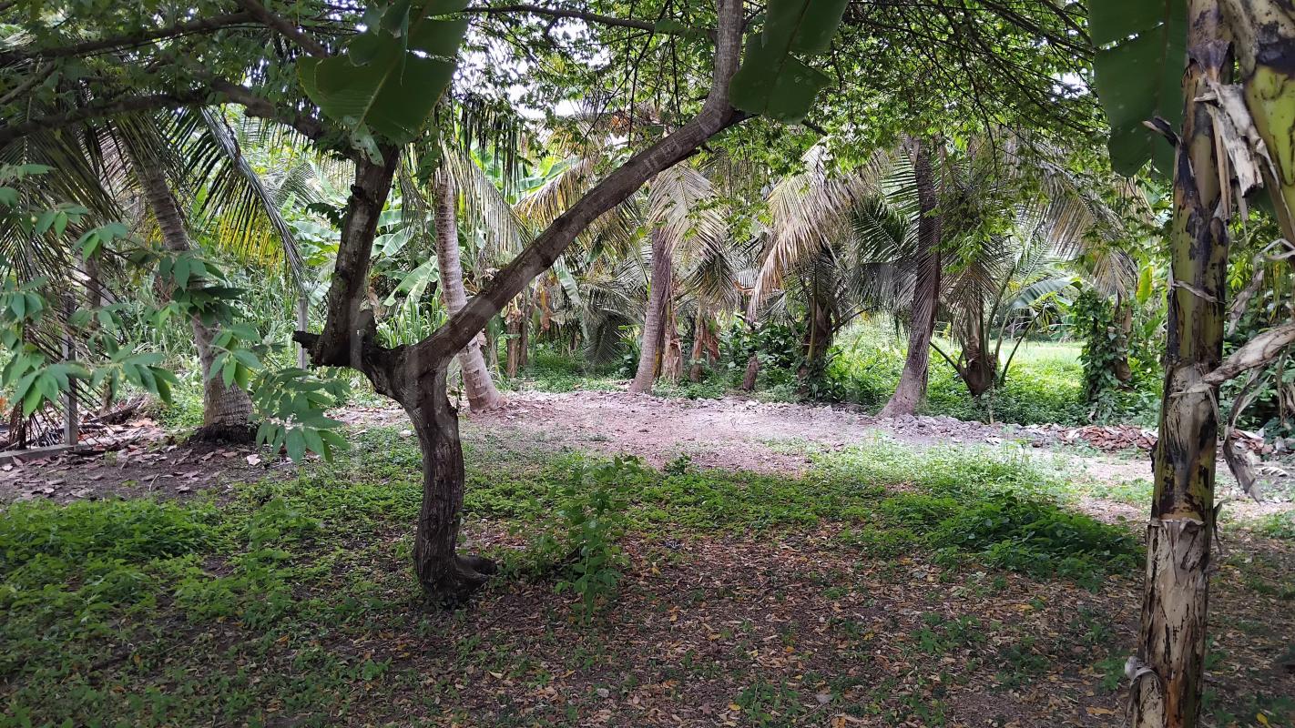 Residential Land for Sale in Negombo