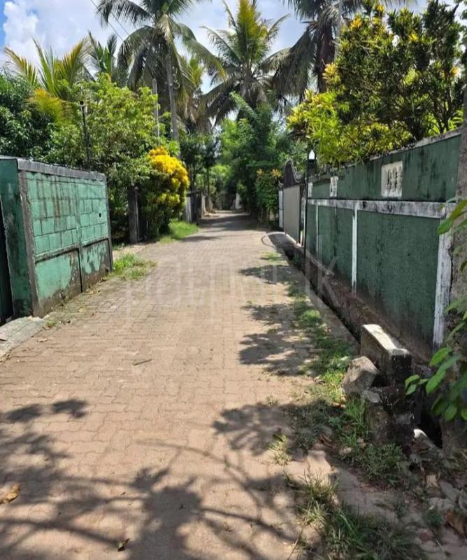 Commercial Land for Sale in Piliyandala
