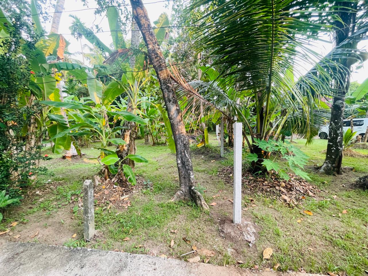Commercial Land for Rent in Ja-Ela