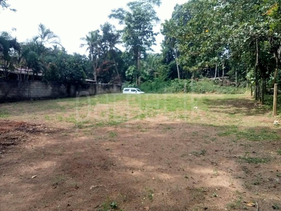 Residential Land for Sale in Kurunegala