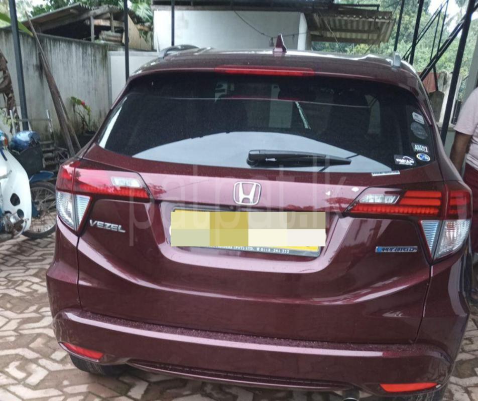 Advertisement image 2