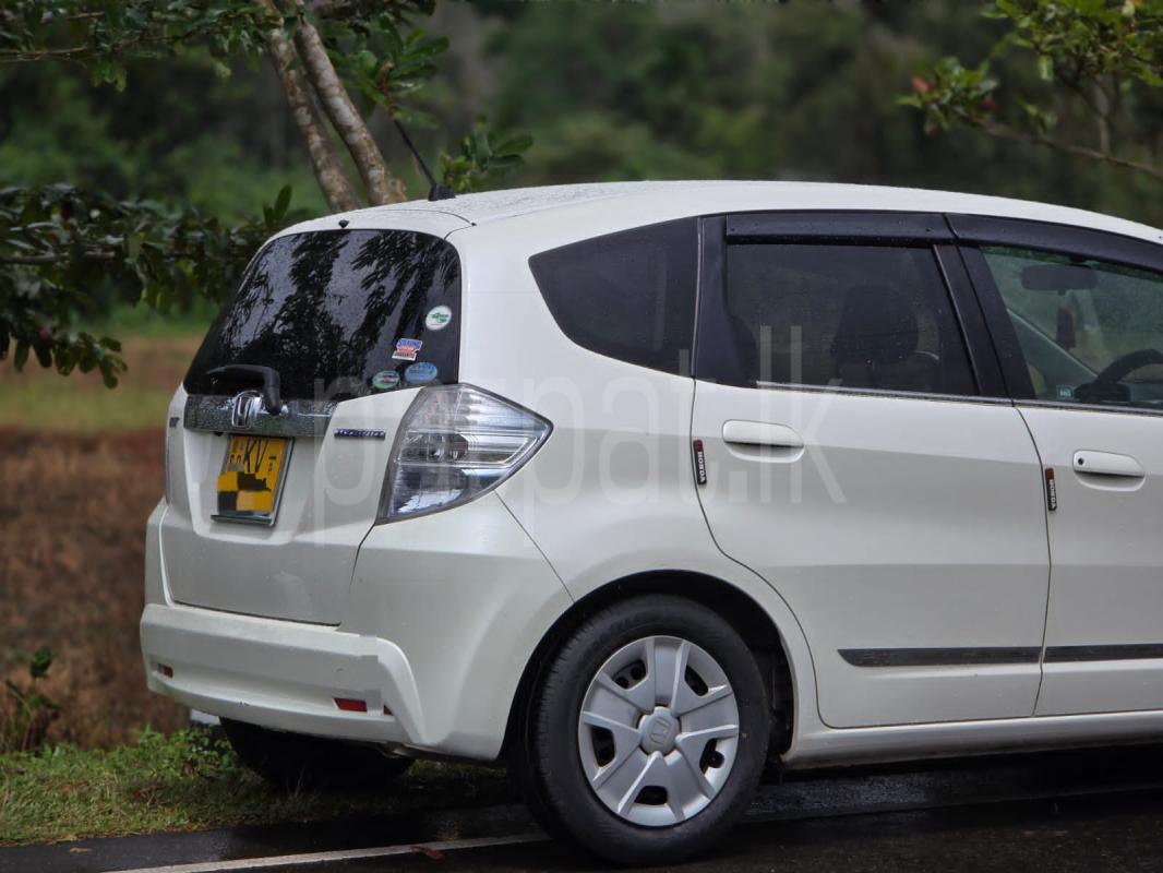 Advertisement image 4