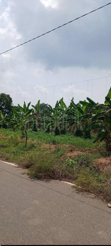 Agricultural Land for Sale in Sella Kataragama