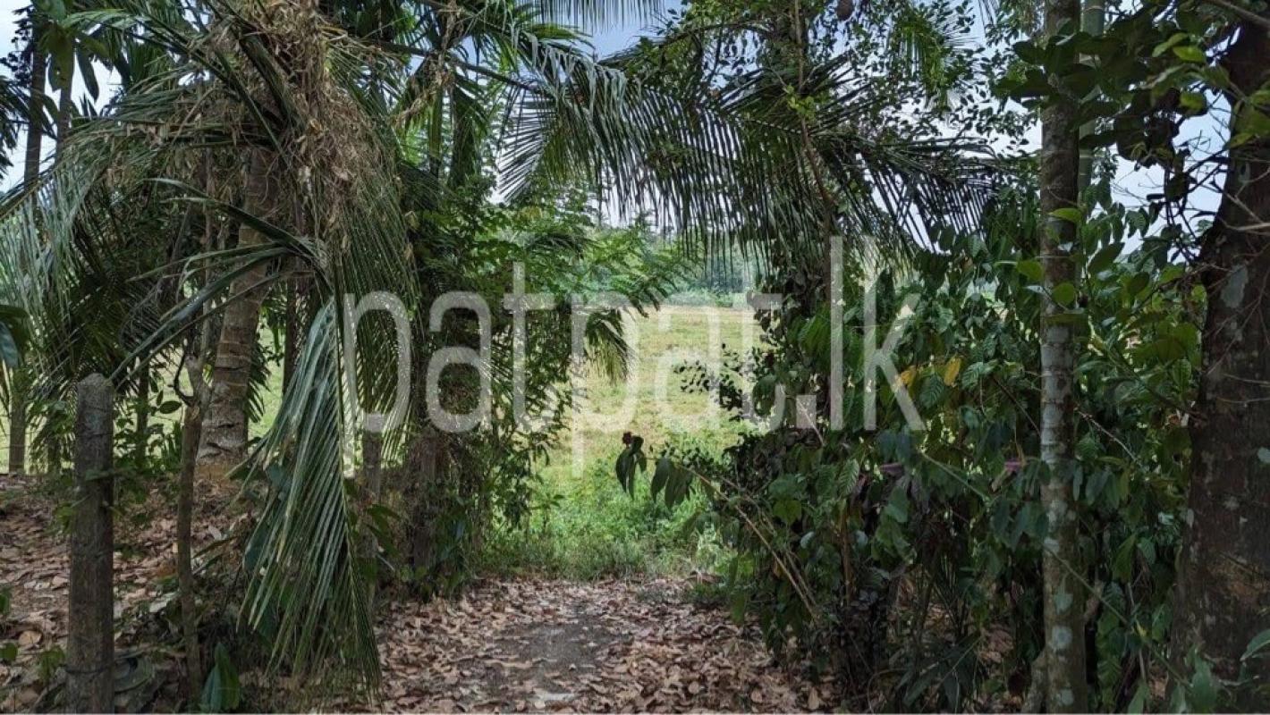 Advertisement image 6