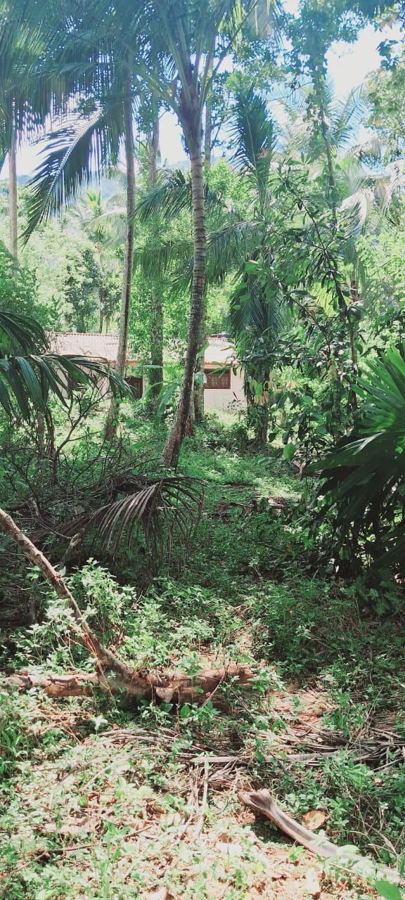 House for Sale in Meetanwala