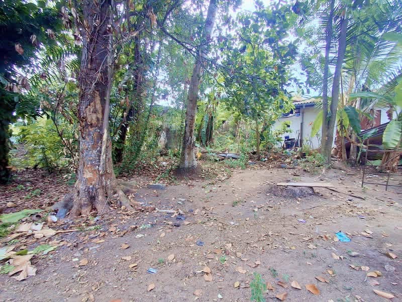 Agricultural Land for Sale in Panadura