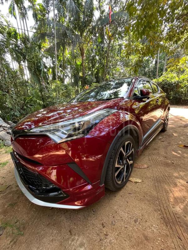 Advertisement image 1