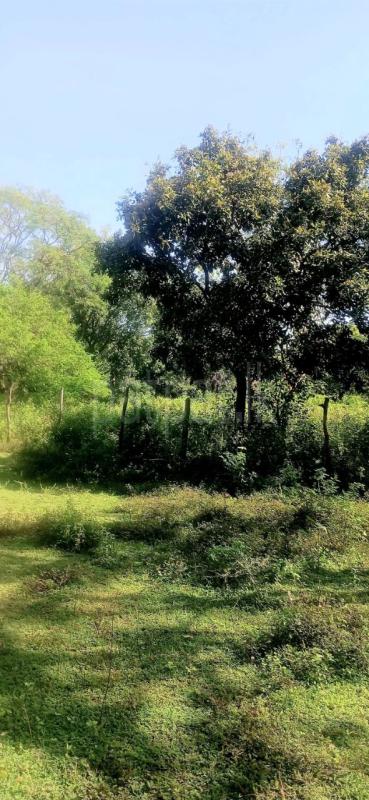 Residential Land for Sale in Kataragama ads-image-1