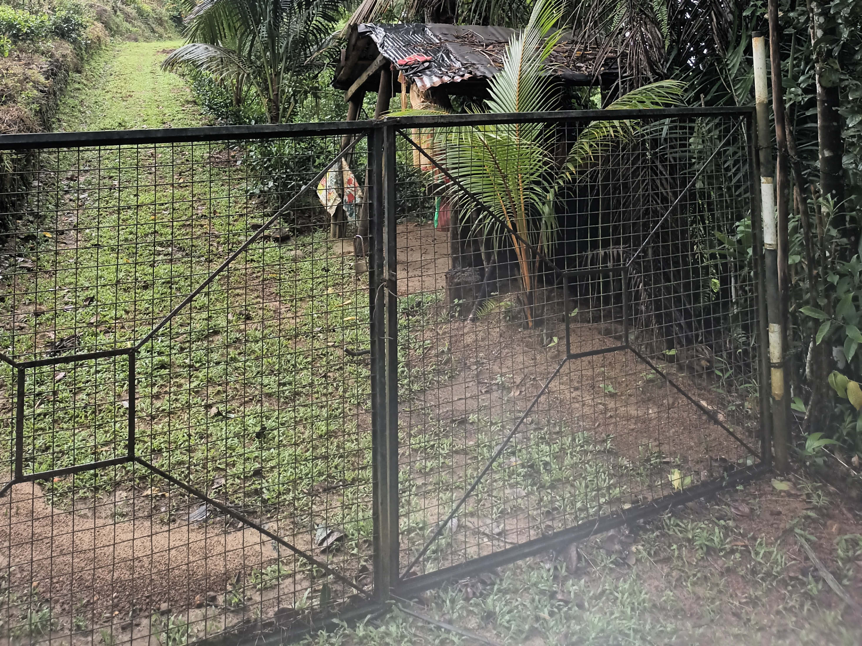 Agricultural Land for Sale in Udugama