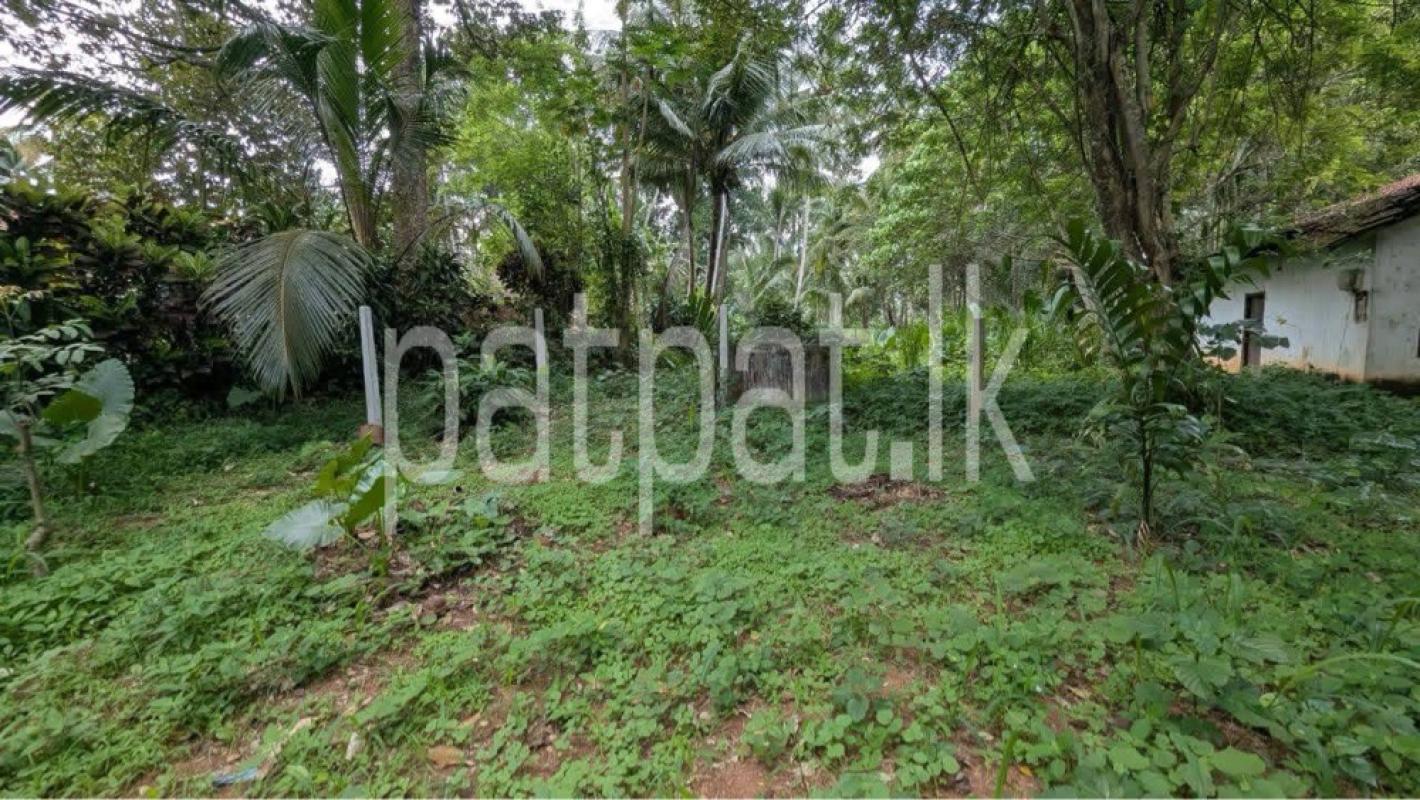Residential Land for Sale in Veyangoda