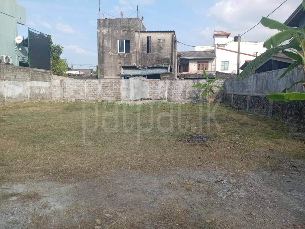 Advertisement image 1