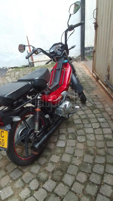 Advertisement image 3