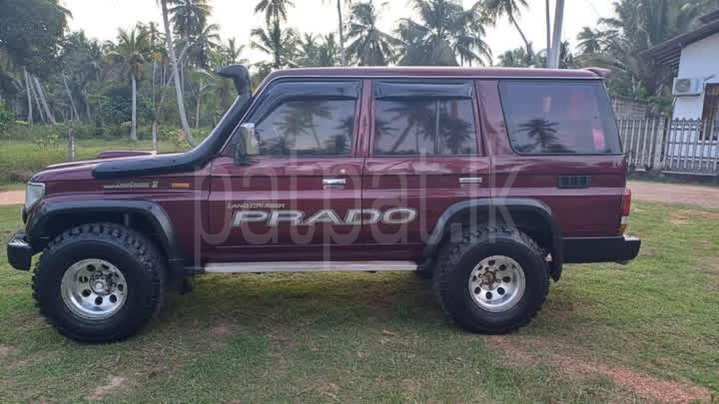 Advertisement image 3